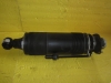 Mercedes Benz - Strut - Shock - 2303200213